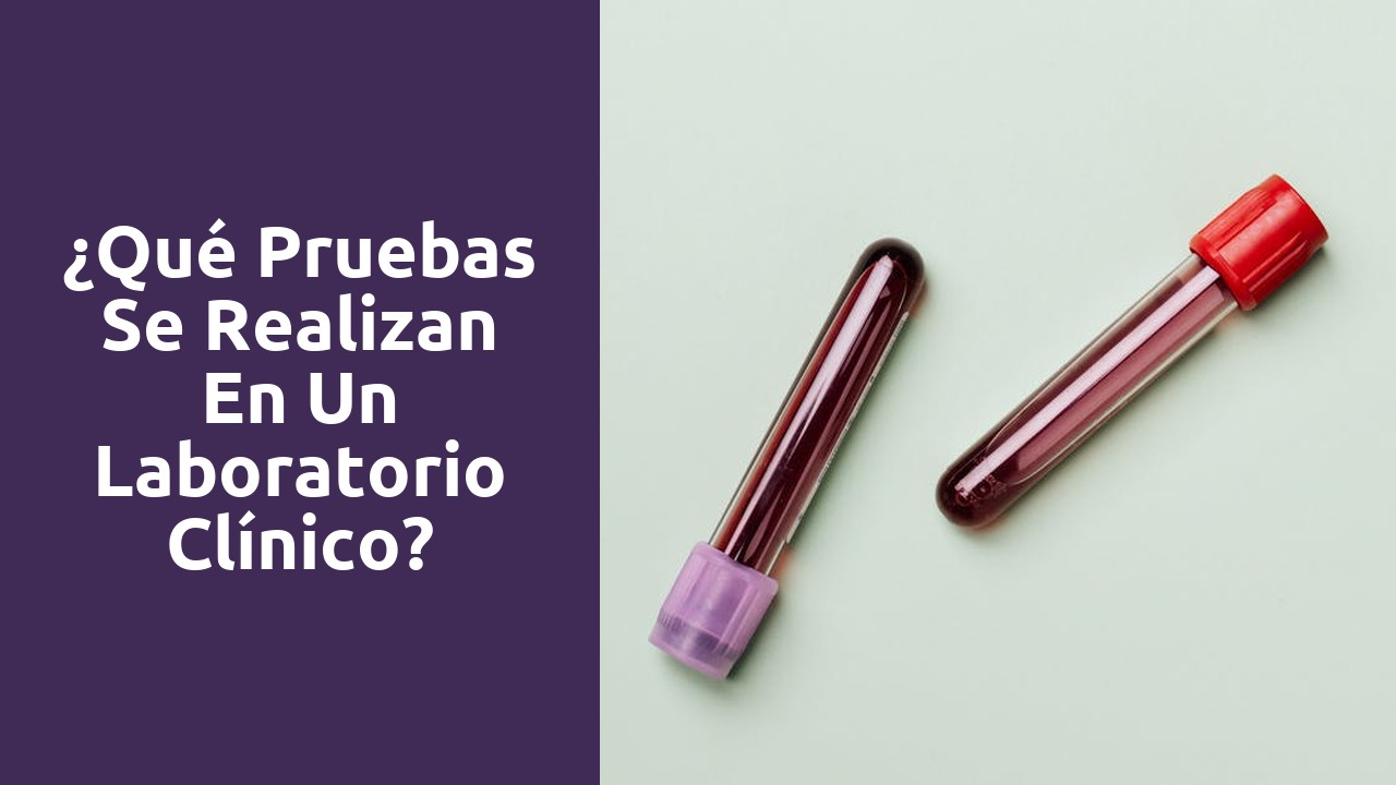 ¿Qué pruebas se realizan en un laboratorio clínico?